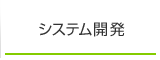 システム開発